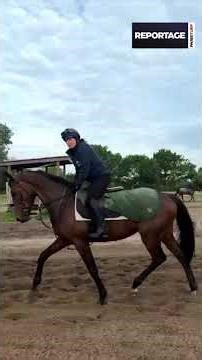 Notre journaliste Liz Price au canter à côté d'Hermès Baie, favori du Grand Steeple-Chase de Paris