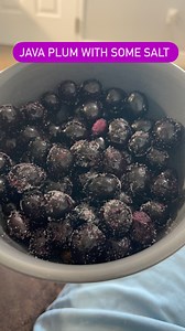 Java Plum Seeds - Etsy