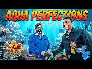 AQUA PERFECTIONS | FISH FOOD | KING DISCUS @ ICAR-CIFE EXHIBITION | AQUARIUM FISH FOOD