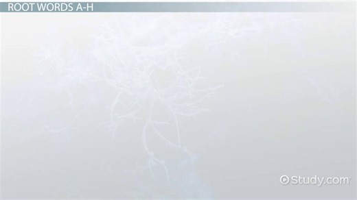 Biology Root Words | Meaning & Examples - Video | Study.com