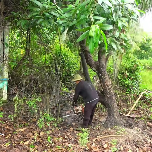 24K views · 46 reactions | Cleaning Up Houses for a Meaningful Purpose Transforming Spaces P2 #clean #cleaning #cleaninghouse #cleaningteam #housekeepingteam #deepcleaning #satisfyingcleaning #cleaningasmr #cleanwithme #satisfying #cleaningmotivation #cleaninghacks #cleaningtips #cleaningszn #cleanfreshhype #cleanclearconfident #fyp #freecleaning #motivation #viralpost #asmrcommunity | Clean The Old House | Facebook