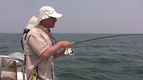 Tips and tricks - how to catch black sea bass