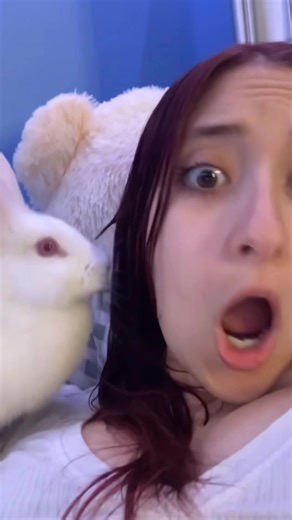 Hilarious Rabbit Moments That Will Make You Smile