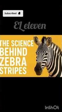 ZEBRA STRIPES: SUPERPOWER! | Scientific Secrets Behind Black & White Patterns #ZebraStripes #facts