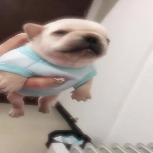 Demon Slayer Infinity Castle: Akaza's Heartbreaking Death