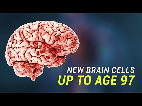 The human brain can grow new neurons up to age 97
