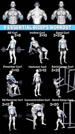 #creatorsearchinsights #bicepworkout #gymtips #fitnessmotivation #armday