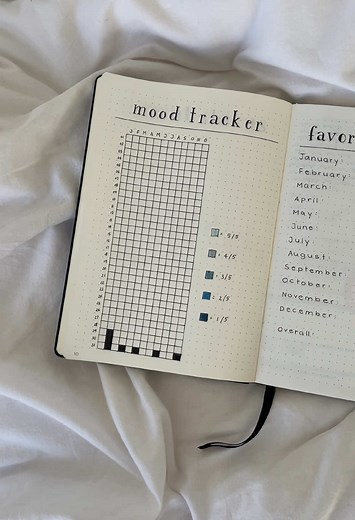 Mood Tracker: Daily Emotional Overview for Journaling