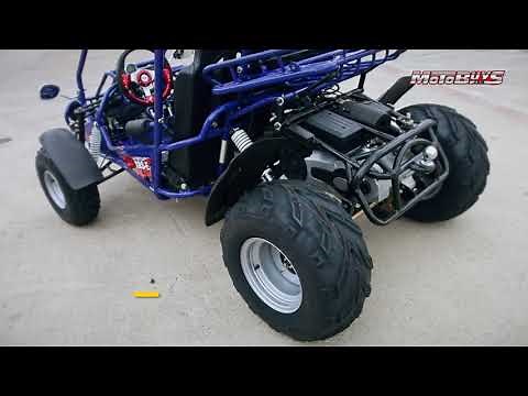 Trailmaster 300XRSE EFI Ultra Buggy Go Kart | Motobuys.com