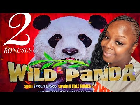 🔥 CHASING BIG WINS ON WILD PANDA SLOT MACHINE 🎰