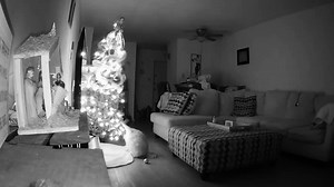 Get in the holiday spirit with the Ridiculousness crew as they watch people enjoying snow, not enjoying gifts, and more. | Ridiculousness