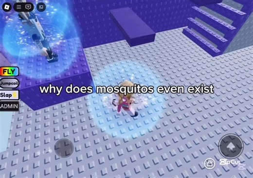 The Life Cycle of Mosquitos Explained