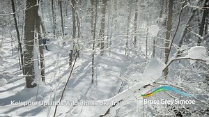 303K views · 3.4K reactions | Discover a plethora of cross country skiing trails that are perfect for all skill levels! | BruceGreySimcoe | Facebook