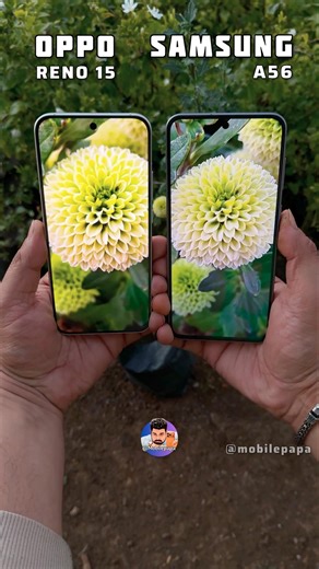 Oppo Reno 15 Vs Samsung A56 Camera Test #mobilepapa #shorts