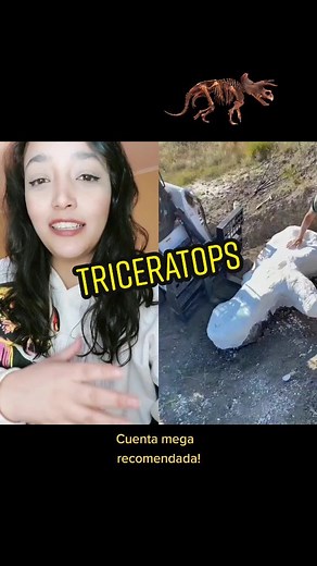 Discovering Triceratops Fossils with Fossil Excavators