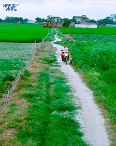 16M views · 144K reactions | भईया सुतल बा जगवल न || Best Movie Scene #bhojpuridehaticomedy #biharidesicomedy #desicomedy #letnightshowcomedy #trending #trend #wavemovie #wavemusic #comedy #bhojpuri #bestvideo #bhojpurimovie #comedian #superhit #SuperhitMovie #NewBhojpuriMovie #BhojpuriMovies #viralvideo #LoveStory | Bhojpuri Comedy | Facebook