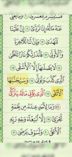 سورة الليل: تلاوة مريحة قبل النوم