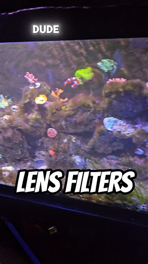 Using A Blue Light Filter On My Reef Tank