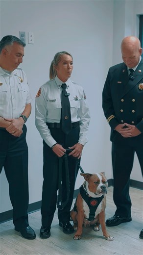 6.2K views · 130 reactions | Congratulations to the newest class of...