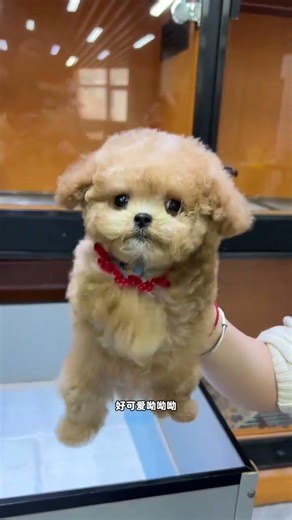 Lazy Nose Guy at Work! Punish His Procrastination