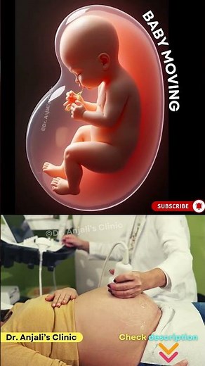 Feeling Baby’s Moves – Baby Kicking in the Womb: A Pregnancy Guide