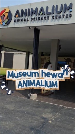 Main ke museum hewan wisata edukasi #shorts #museum #hewan