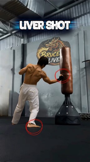 THE BRUCE LEE LIVER SHOT 💀 The Most Dangerous Move in Martial Arts! #shorts #brucelee #mma #usa
