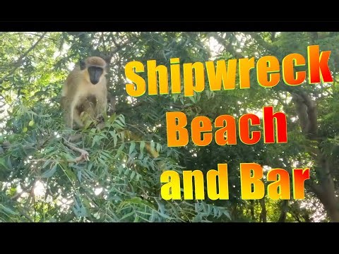 Sip and Stroll: St. Kitts' Shipwreck Bar & Caribbean Beach Getaway Walk Through