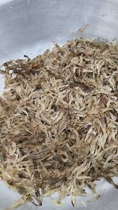 26K views · 94 reactions | Amazing Fish Market desi Prawn #Fish #Prawn | Fisherman Animal Lover Short | Facebook