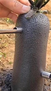 Here are the special flavors that fruit brings 😍😘 | Feedy Animals