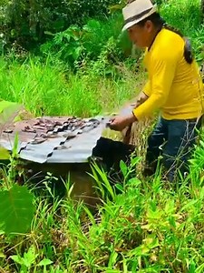 Aquí vivía Don Valentin hace 30 años en el Oriente Ecuatoriano | Don Valentin