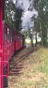 33 reactions | It's a beautiful day here at Bressingham, the sun is shining and theirs steam in the air people. | Bressingham Steam & Gardens | Facebook