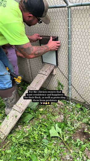Automatic Chicken Coop Door Installation Review — Easy 3-Battery Setup