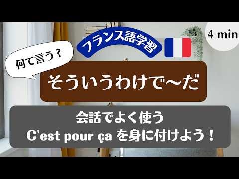 【フランス語】🇫🇷 「そういうわけで～だ」「だから～なんだ」って何て言う？C'est pour ça を使ってみよう