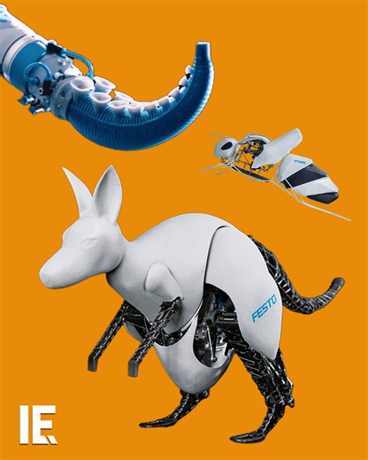 The future of robotics is in biomimicry - copying designs already perfected by nature. From Festo's BionicBee to Boston Dynamics' Spot, nature is inspiring cutting-edge technology and these animal-inspired robots are revolutionizing industries. | Interesting Engineering