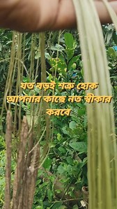 58K views · 781 reactions | স্বয়ং মা কালীর কৃপায় আপনার আশা পূর্ণ হবে এই উপায়টি করুন  #reels #virals #post #astro #tips | Sushanta Das | Facebook