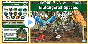 UKS2 All About Endangered Species PowerPoint