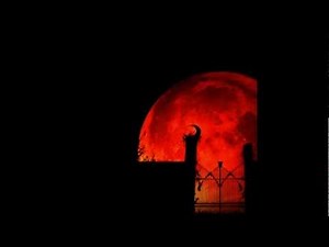 Nightbreed Soundtrack - End Credits (Danny Elfman)