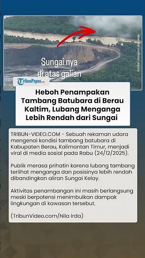 Heboh! Kondisi Tambang Batubara di Berau Kaltim, Lubang Menganga Lebih Rendah dari Aliran Sungai