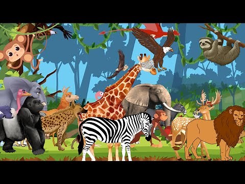 Animal ABC & Safari Animal Sounds Song | Zoo & Safari Animals | Learn ABC Phonics for Kids