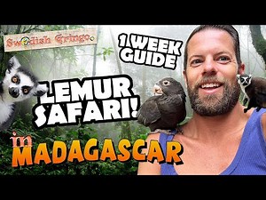 Madagascar travel guide – where to find wild lemurs | One week backpacking itinerary
