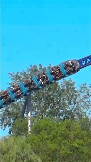 Millennium Force's "Spaghetti Bowl" in the Woods