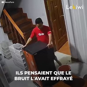 234K views · 874 reactions | Un couple a eu une terrible surprise lorsqu'il a été poursuivi par son propre chat, qui semblait déterminé à en finir avec eux. La réaction n'avait aucune raison apparente, bien qu'ils se soient souvenus plus tard de ce qui avait pu le pousser à agir de manière aussi effrayante. | Le Kiwi | Facebook