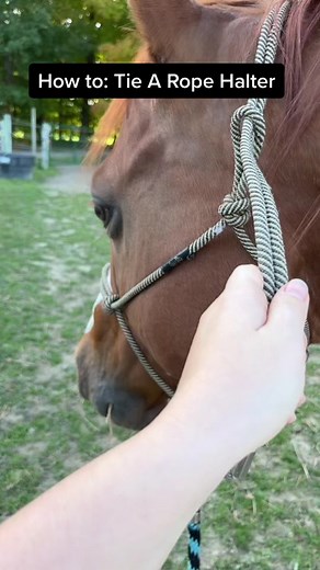 How to Tie a Rope Halter: Step-by-Step Guide
