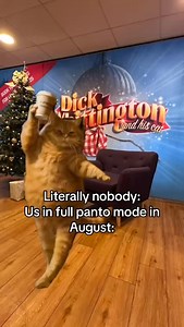 Oh yes we are, and we are not sorry 😂 🎄 #stevenagepanto #dickwhittington #cat #gingercats #xmas2025 #pantomime | Gordon Craig Theatre
