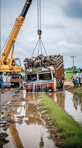 😱😲#funny #comedy #automobile #news #memes #aisho #entertainment #ai #aivideo #lifeisbutadream#short