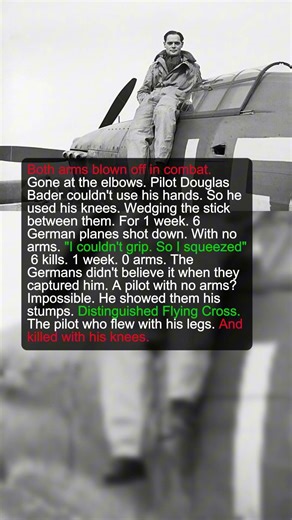 1 Both-Arms-Blown-Off Pilot Shot Down 6 Germans Using His Knees | Military History Talks