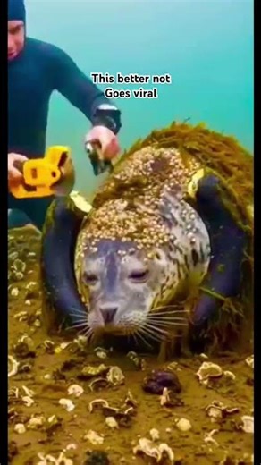 This better bot goes viral…