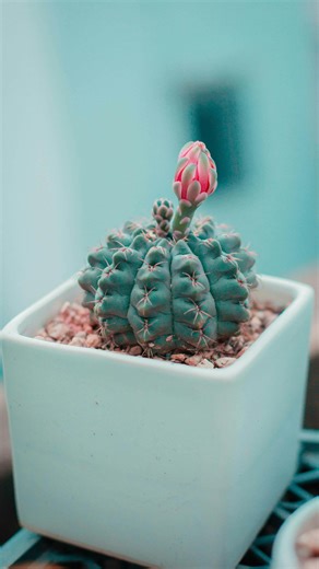 Losing my husband changed my life forever. I knew I couldn’t let grief decide how my life would move forward. After the initial shock mourning, I made a decision: To do what it took to build the financial legacy my husband I always wanted for our girls. It wasn’t easy. There was no life insurance payout A 3-year court case for survivor benefits A 5-figure tax mistake in the first year Multiple 6 figures of debt Everywhere I looked, “financial legacy” was tied to hustle culture or prosperity-gosp