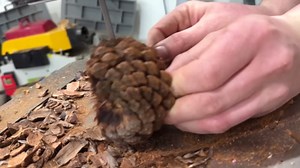 Woodturning - Resin And Pine Cone Hybrid Vase